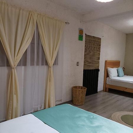 Alojamiento El Nixtamal Oaxaca Exteriér fotografie